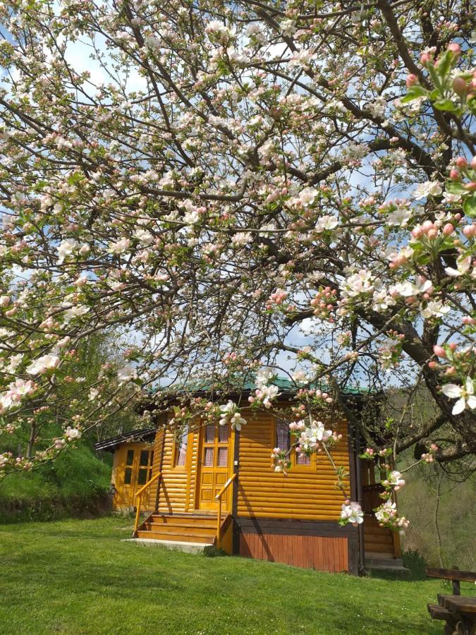 Motel Bavaria Foca Eksteriør billede